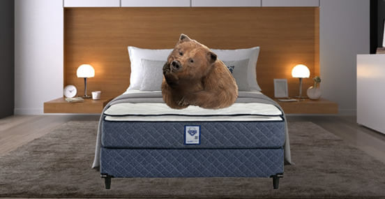 imagen-de-descripcion