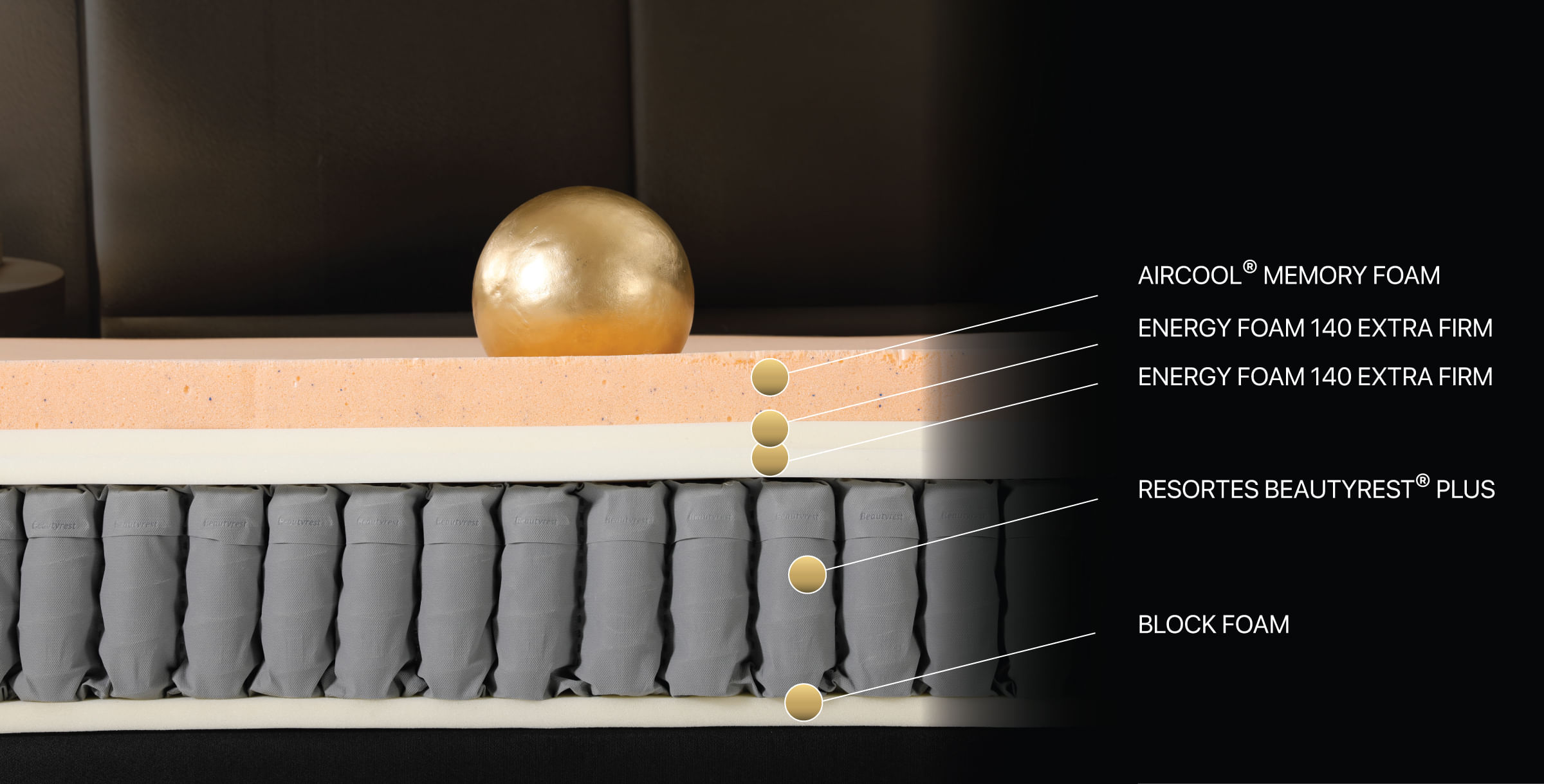 img estructura