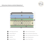 EstructraBelspring2