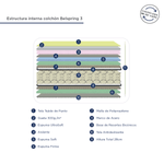 EstructraBelspring3