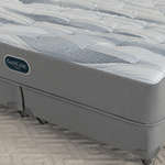 BACKCARE-FOAM_4.png