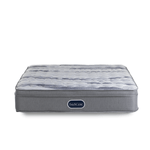 BACKCARE-2-PLAZAS-FRENTE.png